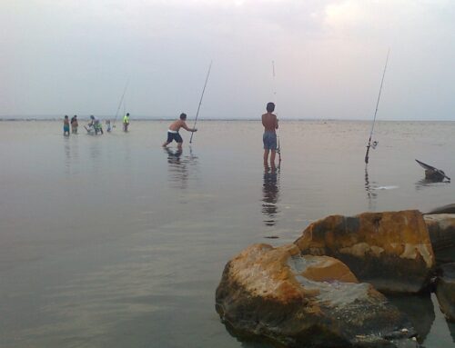 Chronicle of the Mar Menor, a fragile ecosystem.