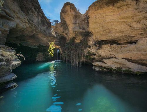 Natural Pools in the area: charming spots to escape the heat